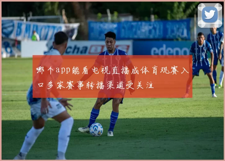 哪个app能看电视直播成体育观赛入口多家赛事转播渠道受关注