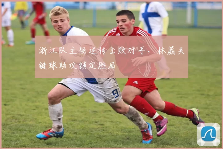 浙江队主场逆转击败对手，林葳关键球助攻锁定胜局
