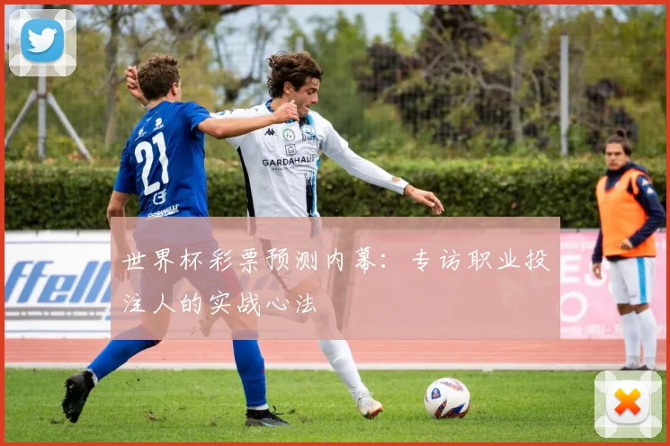 世界杯彩票预测内幕：专访职业投注人的实战心法