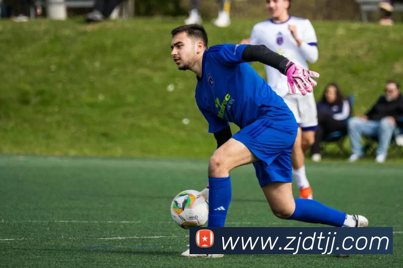 巅峰国际app官网下载发展历程